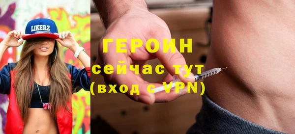 ГАЛЛЮЦИНОГЕННЫЕ ГРИБЫ Дмитриев