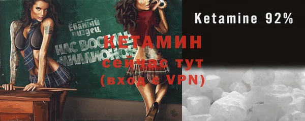 ГАЛЛЮЦИНОГЕННЫЕ ГРИБЫ Дмитриев