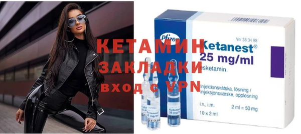 ГАЛЛЮЦИНОГЕННЫЕ ГРИБЫ Дмитриев