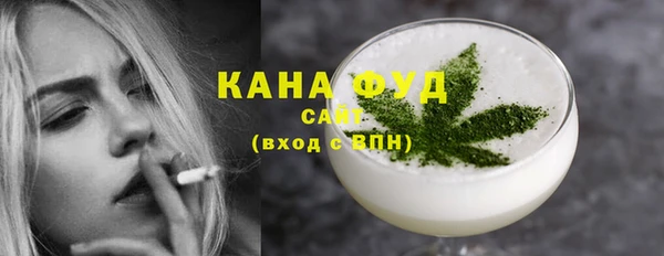 ГАЛЛЮЦИНОГЕННЫЕ ГРИБЫ Дмитриев