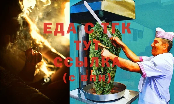 ГАЛЛЮЦИНОГЕННЫЕ ГРИБЫ Дмитриев