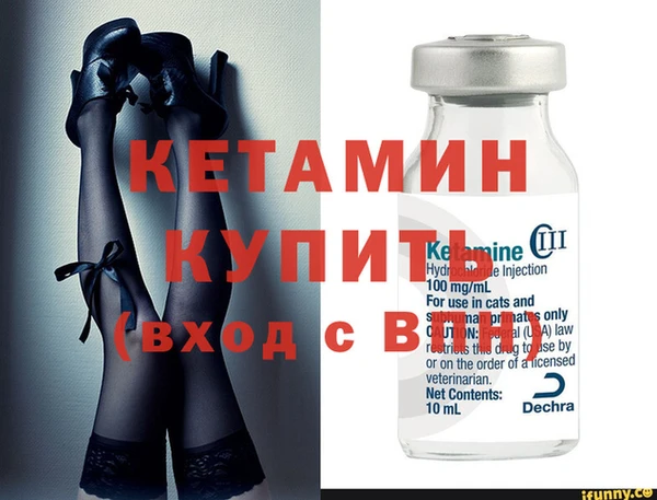 ГАЛЛЮЦИНОГЕННЫЕ ГРИБЫ Дмитриев