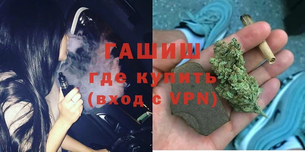 ГАЛЛЮЦИНОГЕННЫЕ ГРИБЫ Дмитриев