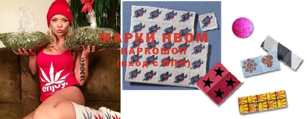 ГАЛЛЮЦИНОГЕННЫЕ ГРИБЫ Дмитриев