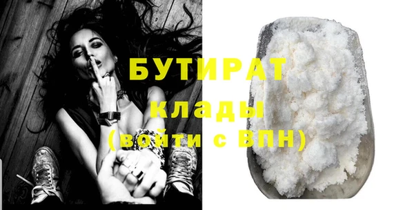 ГАЛЛЮЦИНОГЕННЫЕ ГРИБЫ Дмитриев