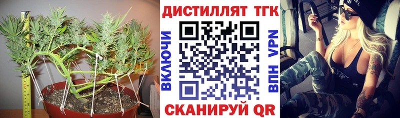 купить наркотик  Пущино  Дистиллят ТГК THC oil 