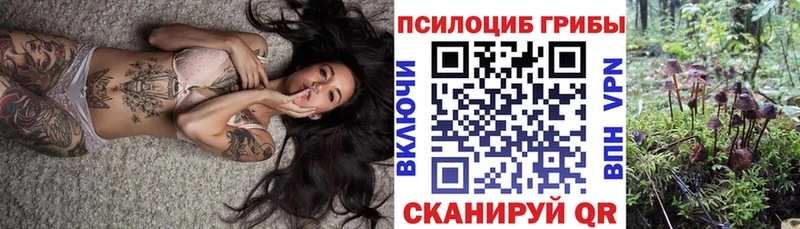 Псилоцибиновые грибы Psilocybine cubensis  как найти   Пущино 